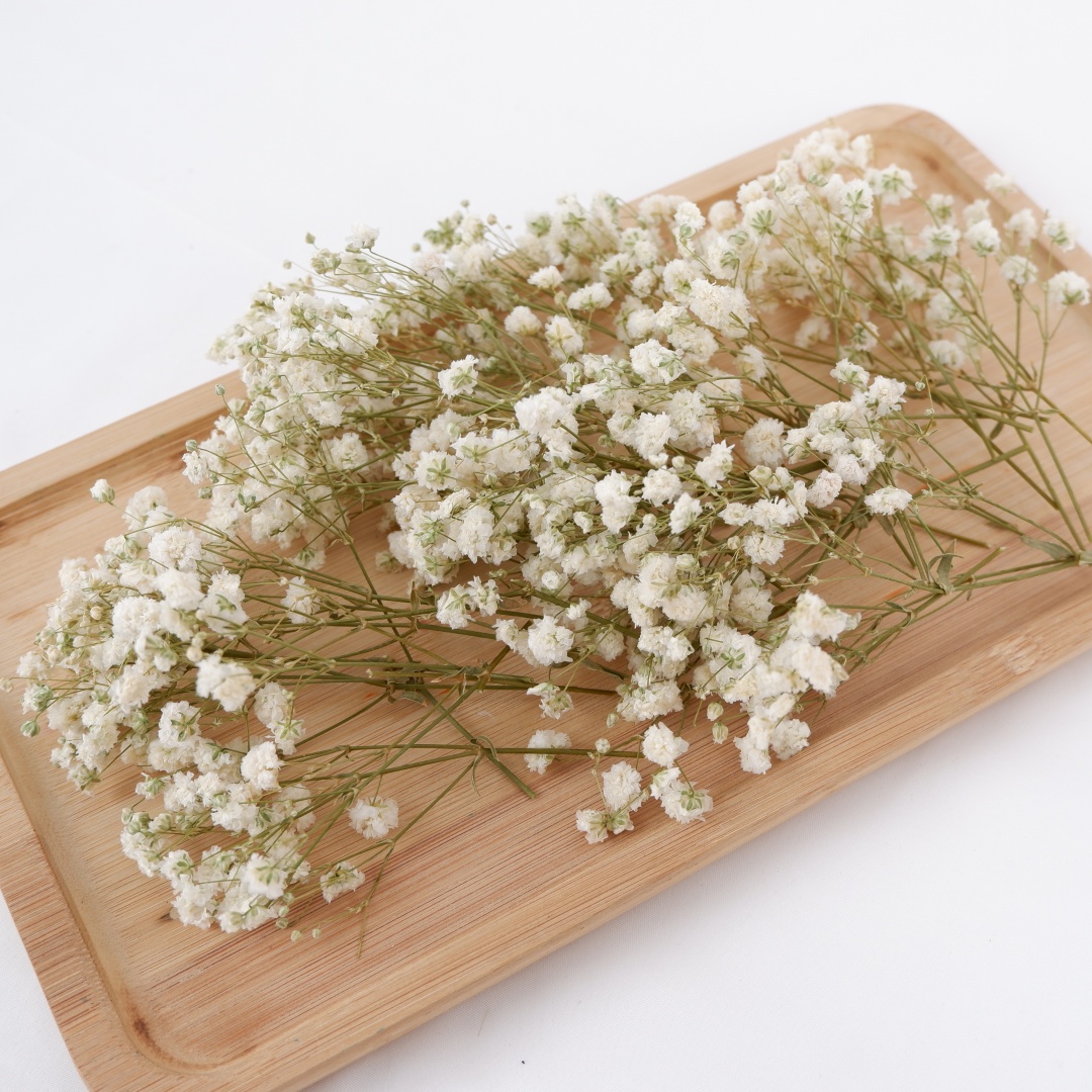 ドライフラワー ホワイト ミニ ドライカスミソウ ジプソフィ - Florist Supply Vases のレビューと価格