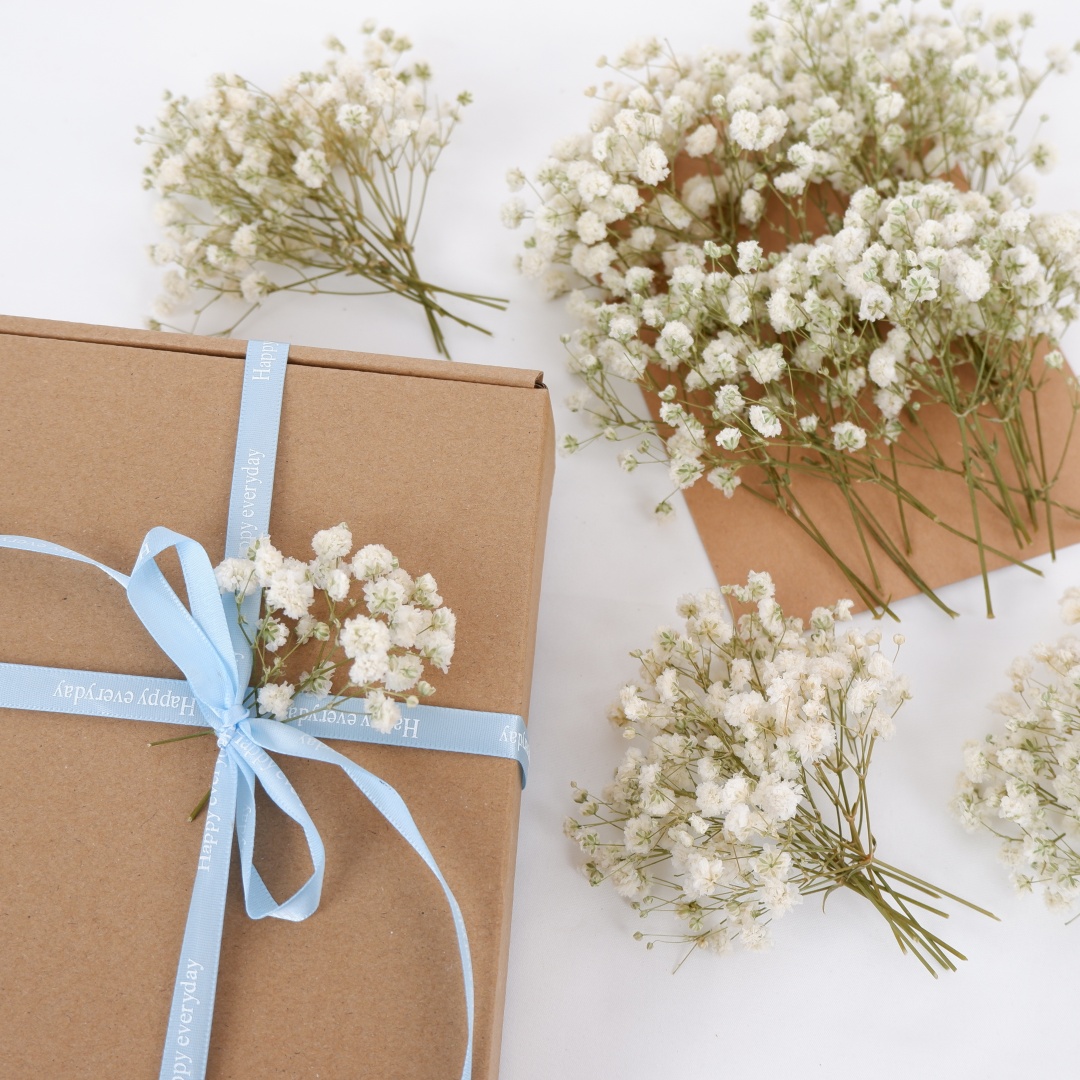 ドライフラワー ホワイト ミニ ドライカスミソウ ジプソフィ - Florist Supply Vases のレビューと価格