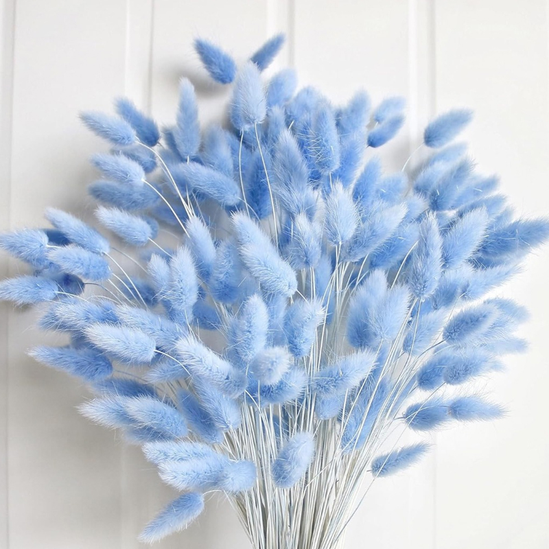 100 個ブルーウサギの尾草バニーウサギの尾ホームルームリビ - Florist Supply Vases のレビューと価格
