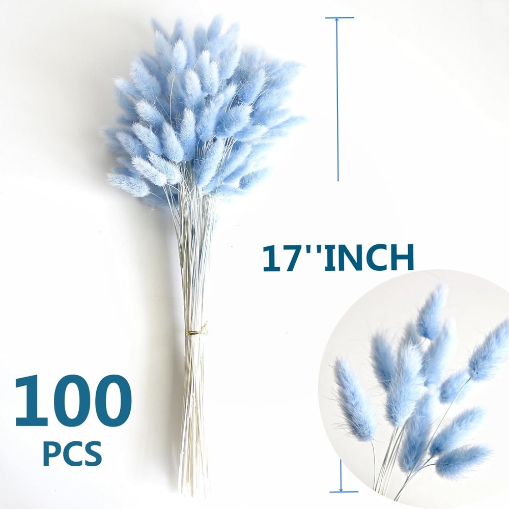 100 個ブルーウサギの尾草バニーウサギの尾ホームルームリビ - Florist Supply Vases のレビューと価格